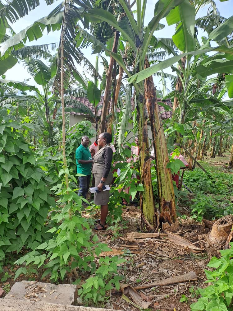 Yet, in every household garden, every rights workshop and every shared meal, we see hope. By prioritizing nutritious, accessible food as a human right, we can forge a world where no child goes hungry, no girl trades her dreams and every family thrives.
#WorldFoodDay