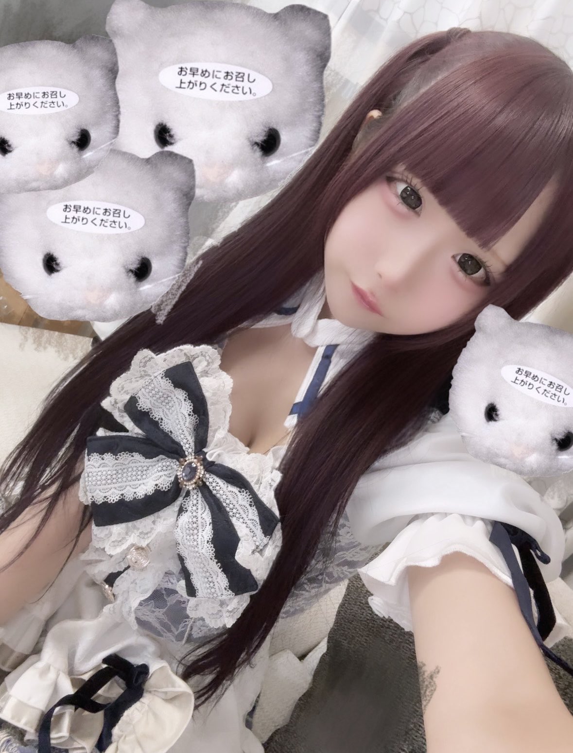 ☆*:.。.ミーコ.。.:*☆ Coconut [N's COLLECTION] | 1day Colored Contact Lens - DIA