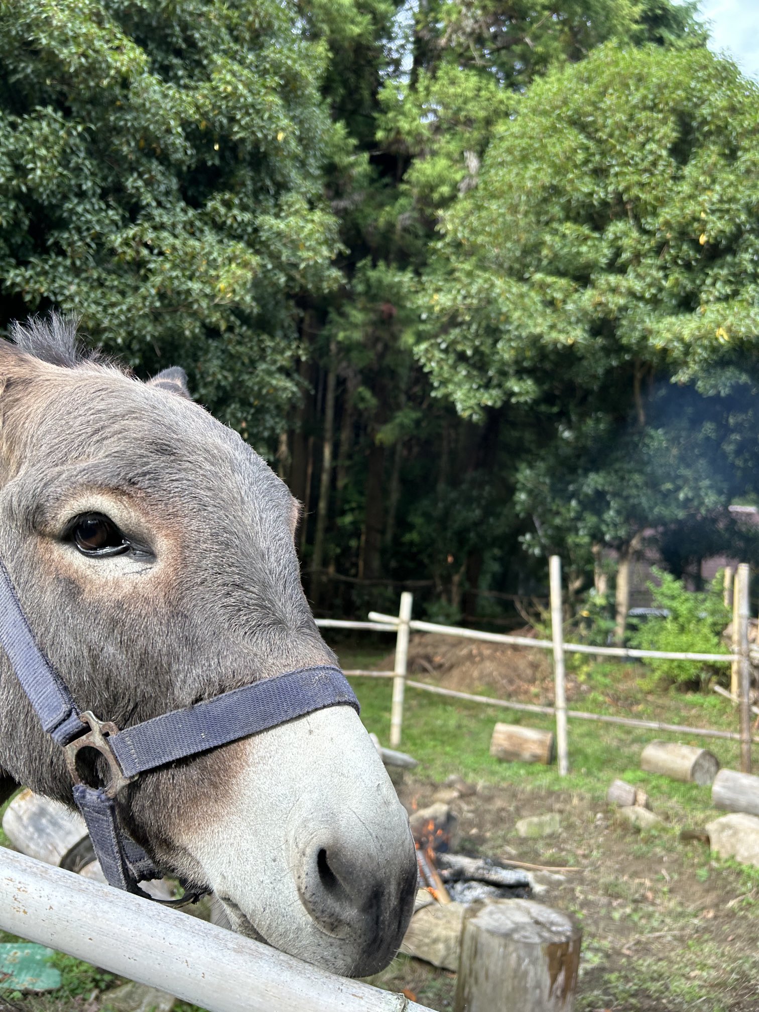 k❤︎プロフみてください　おまとめ３点 丸茂こゆめ on X