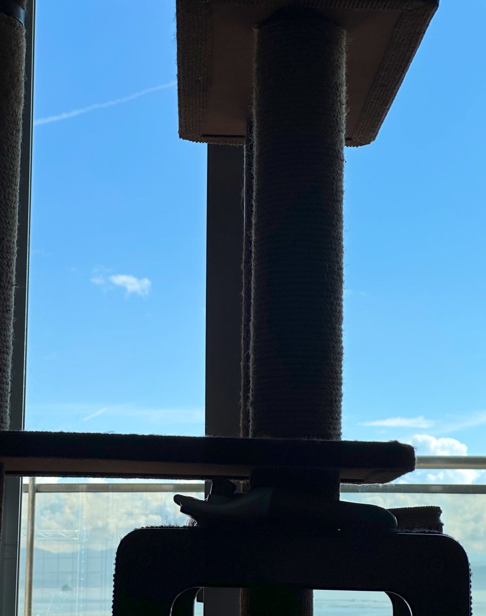 Haru🍥 (@harusyuharu) / Posts / X