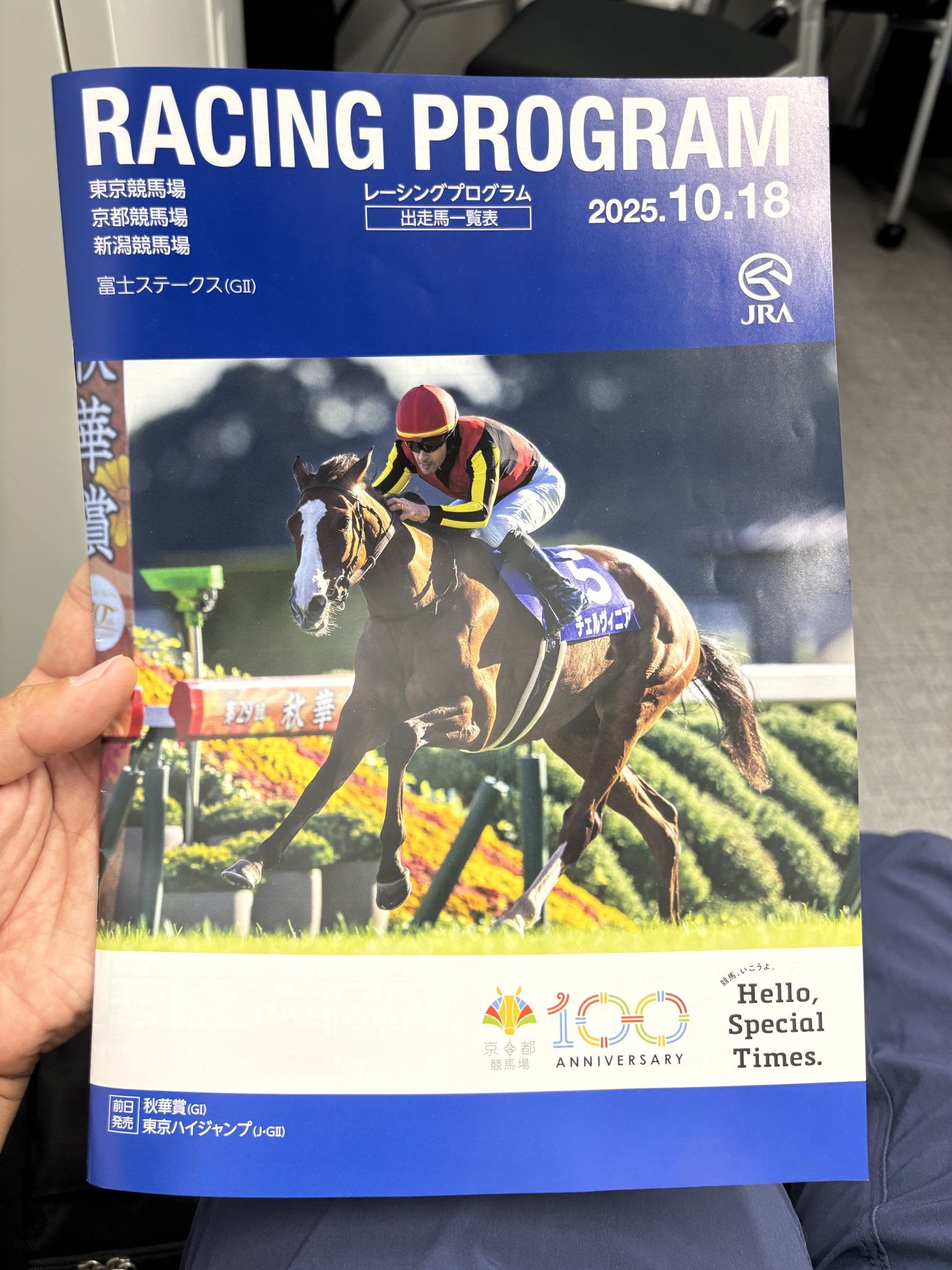 2025年 秋華賞 チェルヴィニア ポスター