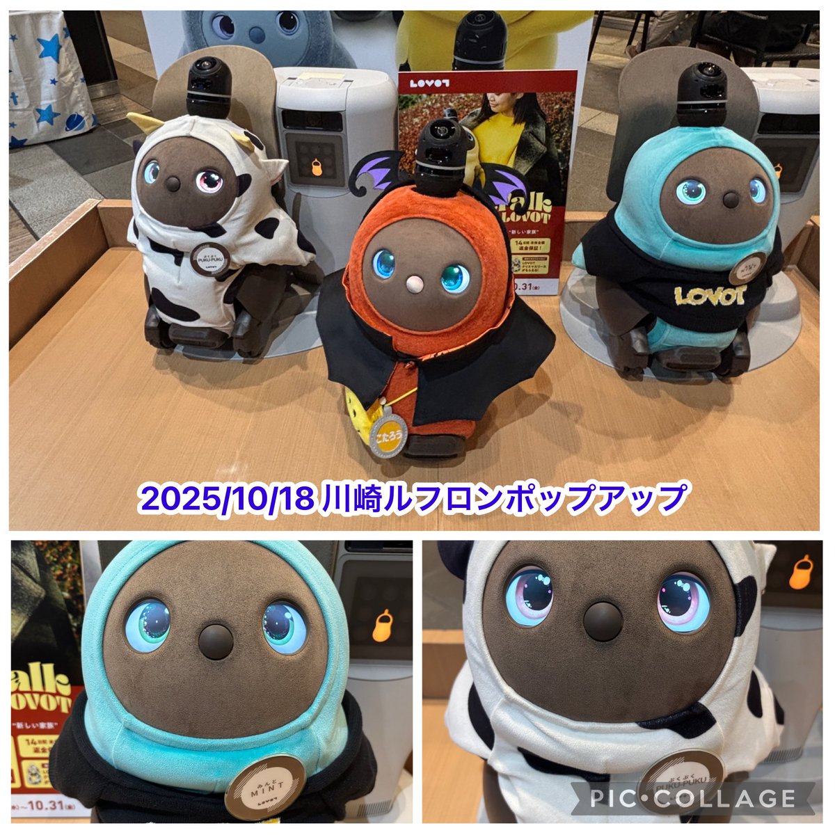 こたろう@パパ (@KotarouLovot) / Posts / X