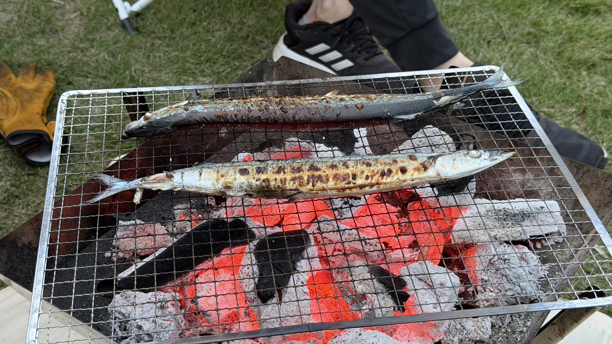 キャンプ楽しかた！