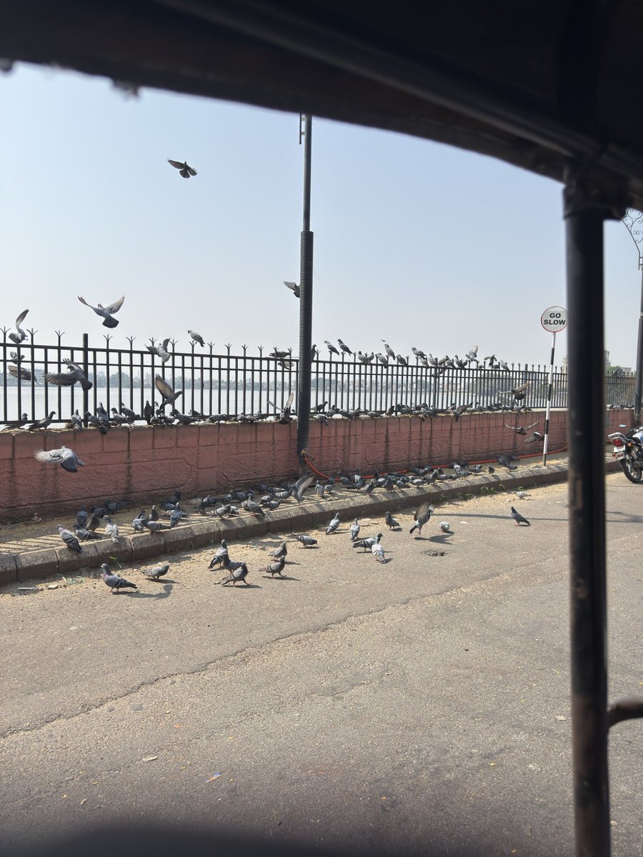 Sudhanshu | Matiks tweet media