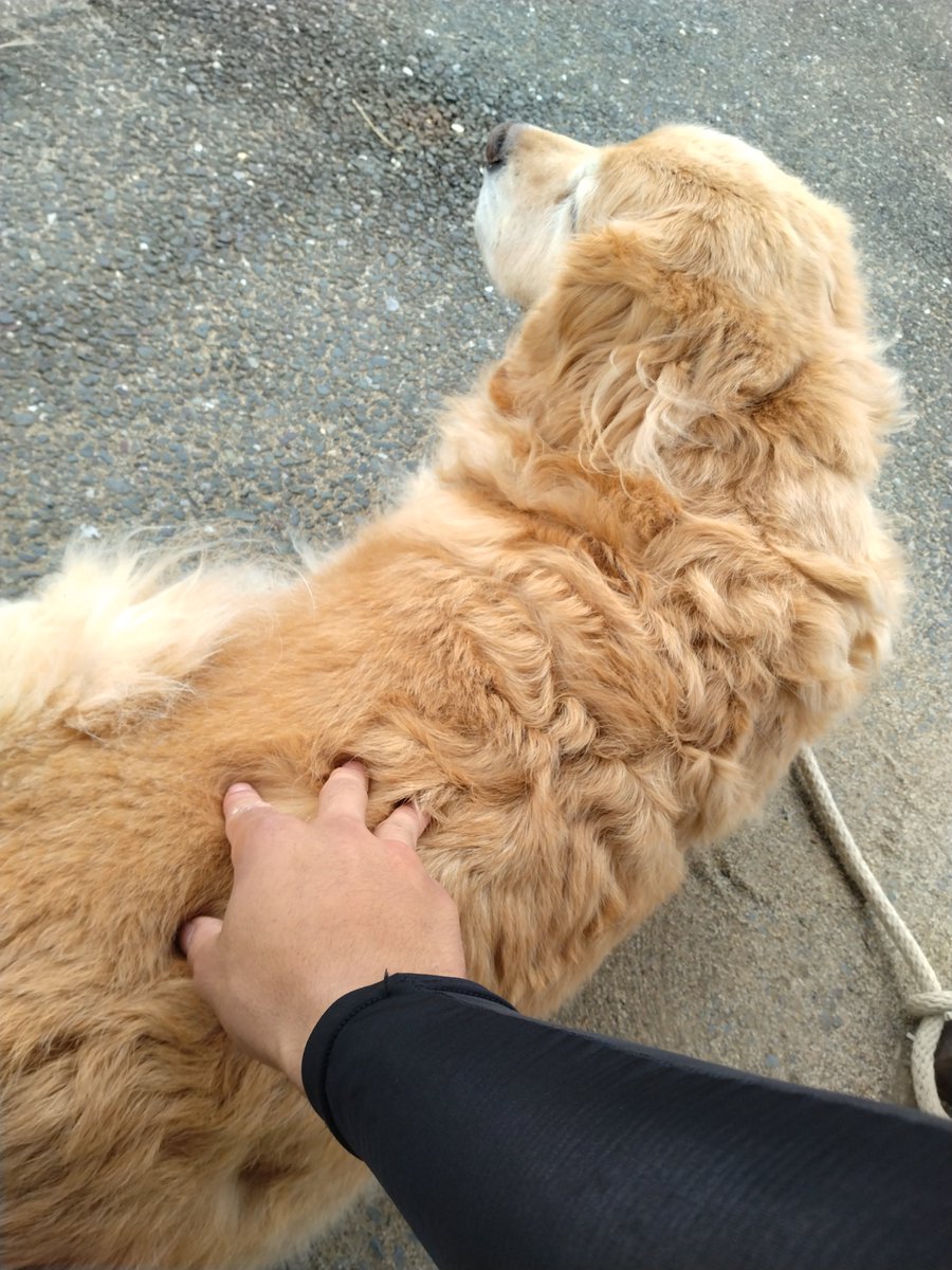 かわいいよおおおお