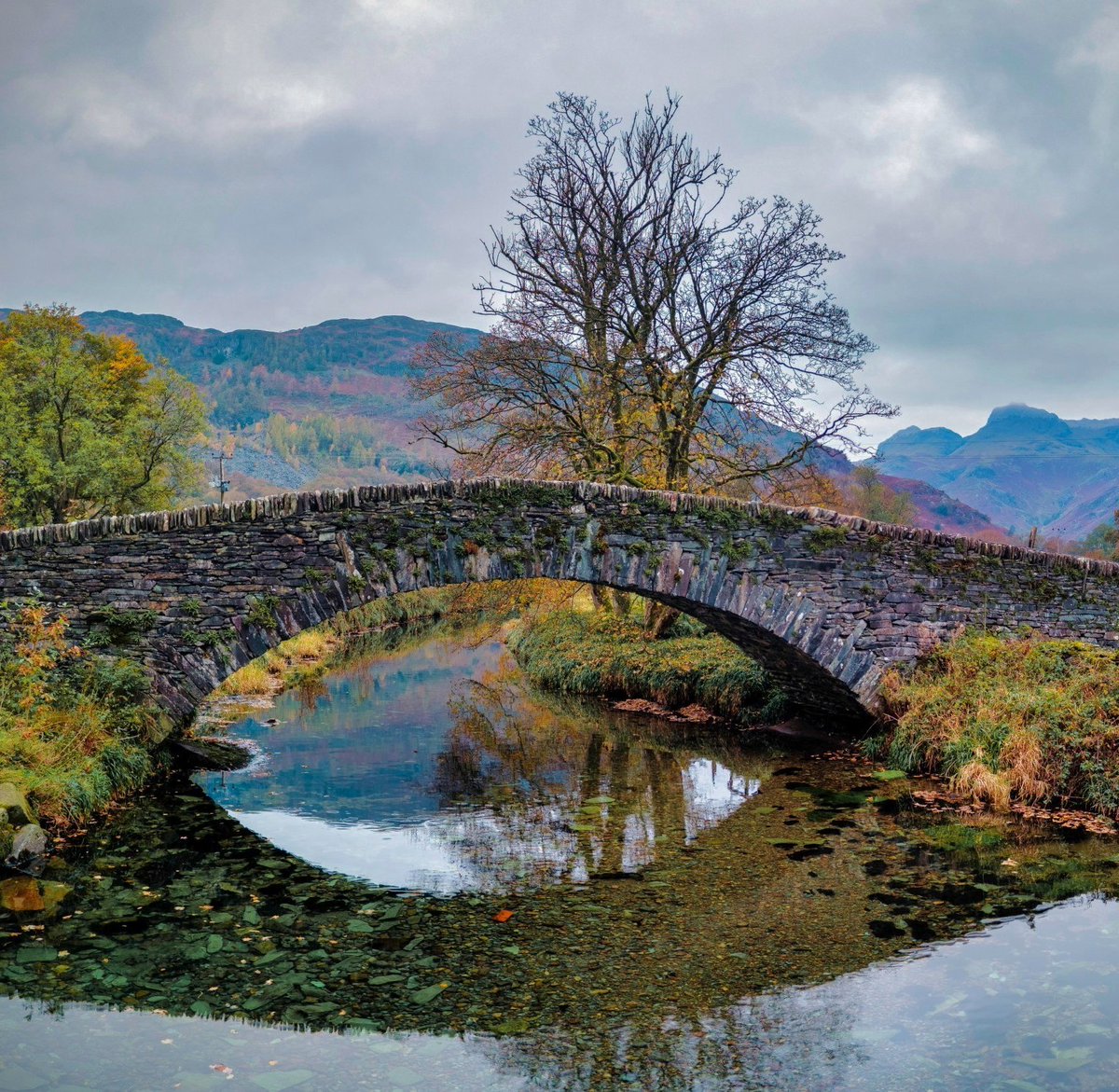 Morning everyone I hope you are well. A bit of stillness at the old packhorse bridge crossing Great Langdale Beck. Have a great day.

#LakeDistrict
