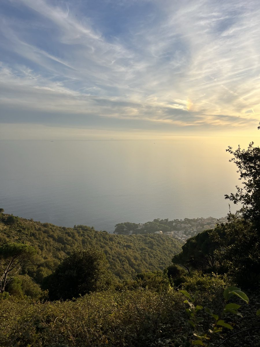 Detteballette's tweet photo. @EliAfriatISR Since that dark day, not one morning has passed
without me thinking of him.
As a Mom of five sons his age,
I send him the sky – every day, if it helps.
May love and light surround him. 💙 https://t.co/7hkatoQeuf
