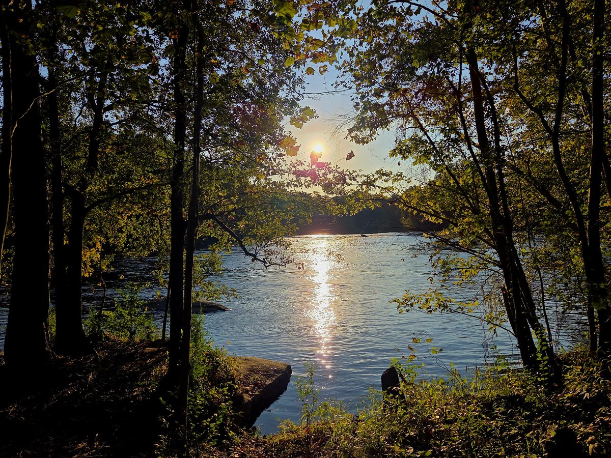 Ethan Maskery tweet media