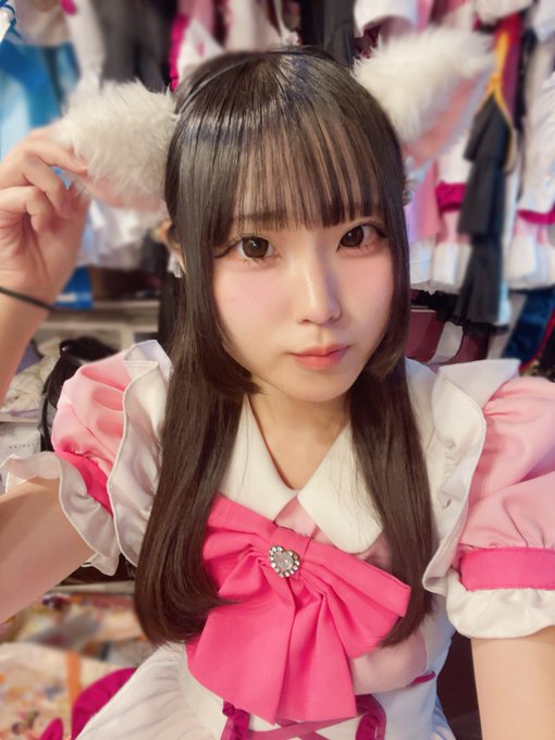 にゃんたー✖️にゃんたーのツイート