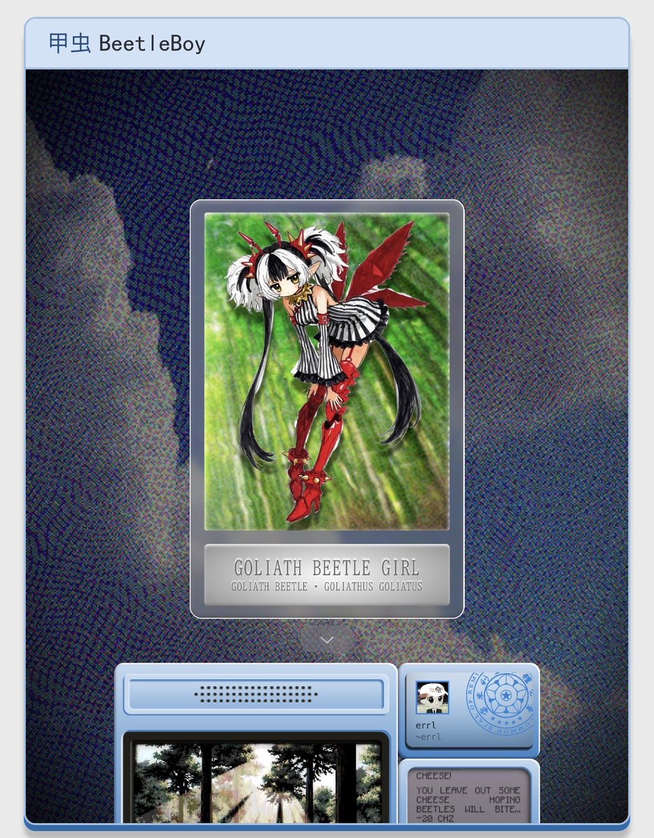 I love catching beetles