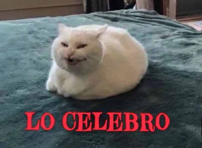 JAVIERPONTON7's tweet image. Que bueno!!!!