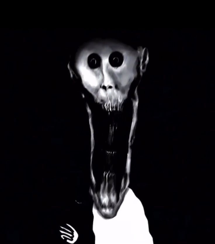 cuando te deja de seguir un muti q le interactuas bastante