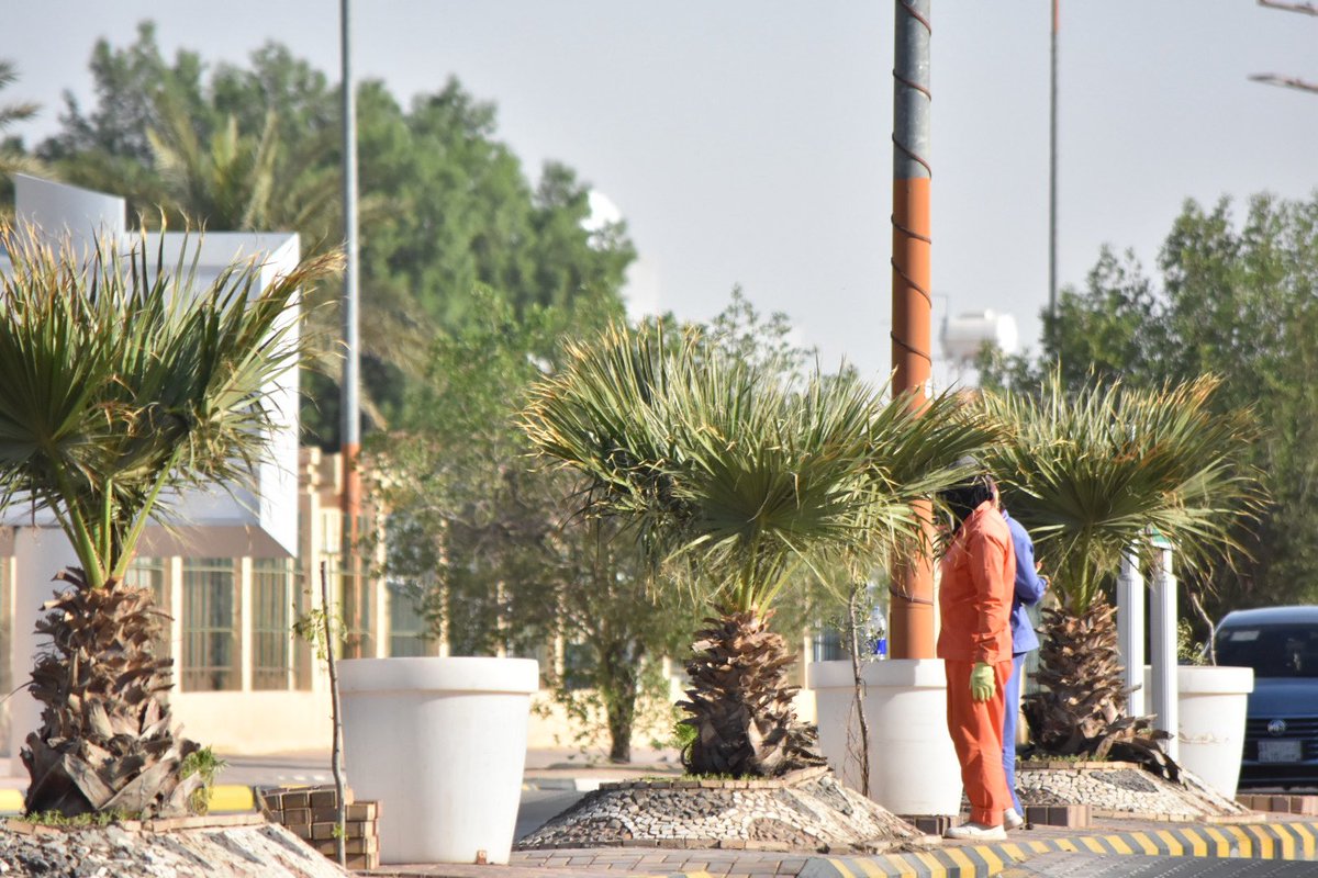 تواصل بلدية #القيصومة جهودها في تحسين المشهد الحضري من خلال زراعة الأشجار في الجزر الوسطية بالشوارع الرئيسية،
وزراعة الأزهار الموسمية التي تضيف لمسات جمالية وتعزز الغطاء النباتي.
#بلدية_القيصومة
#تحسين_المشهد_الحضري
#أمانة_حفرالباطن