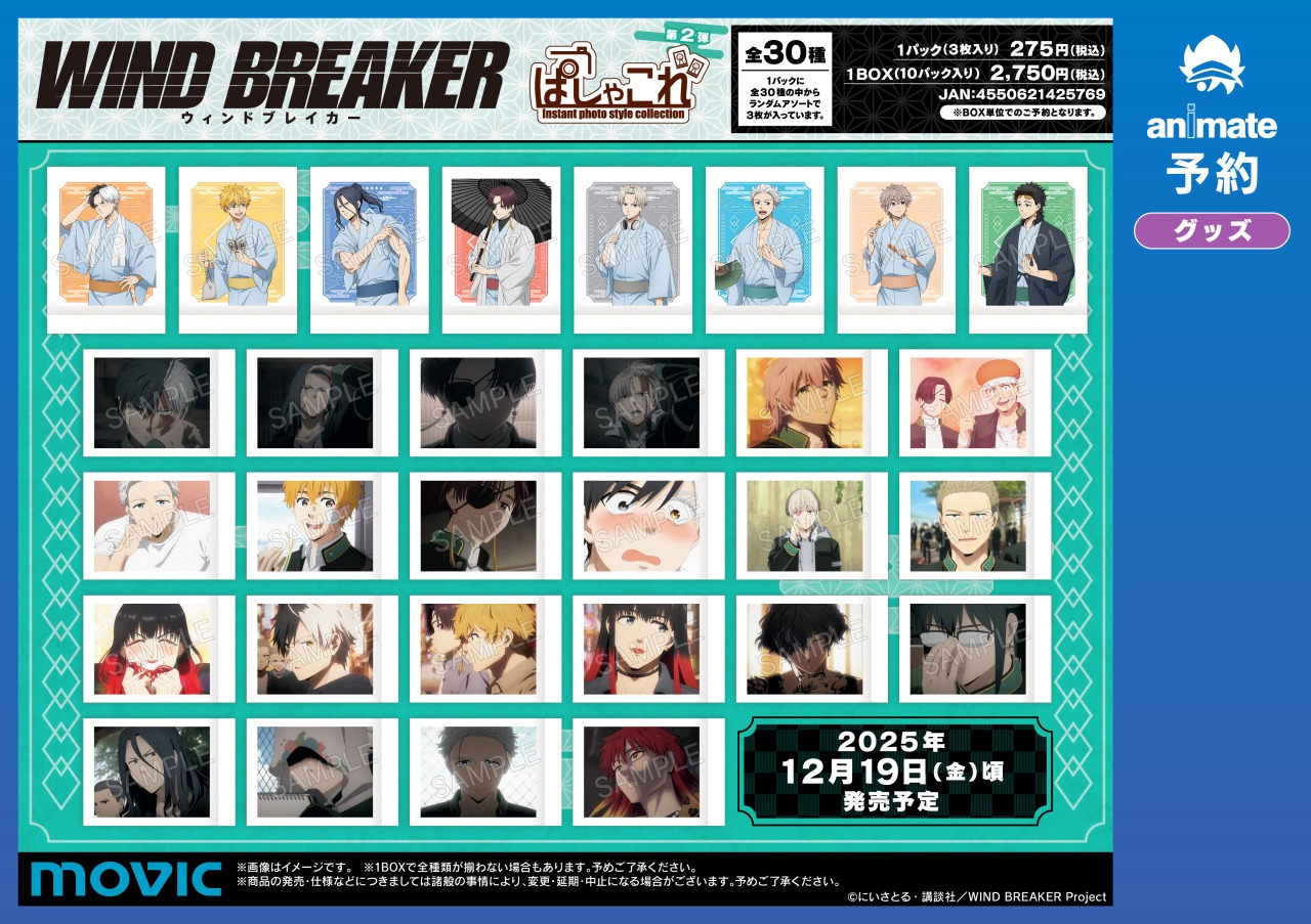 pei プロフ必読　ページ　アナイクス　ぱしゃこれ10点 pei プロフ必読 ページ アナイクス ぱしゃこれ10点 pei プロフ必読