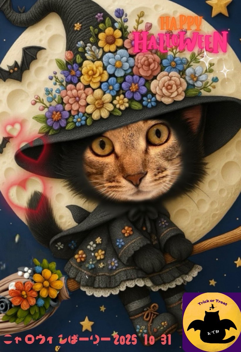 ヨッシー (@AOGSDkw5Qmr1X51) / Posts / X