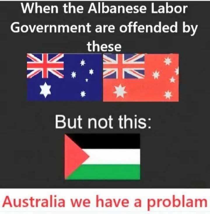 JimThom90458694's tweet image.