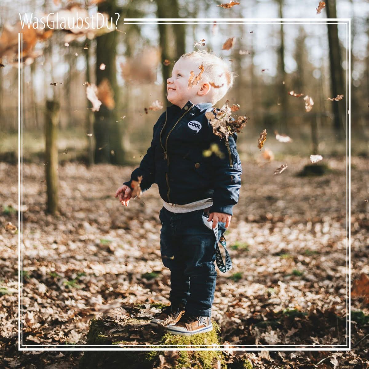 19. Oktober 2025 – 29. Sonntag im Jahreskreis. 

Mit diesem Gedicht von Rainer Maria Rilke wünschen wir euch einen gesegneten Herbst-Sonntag!

Die Blätter fallen, fallen wie von weit, als welkten in den Himmeln ferne Gärten; sie fallen mit verneinender Gebärde.