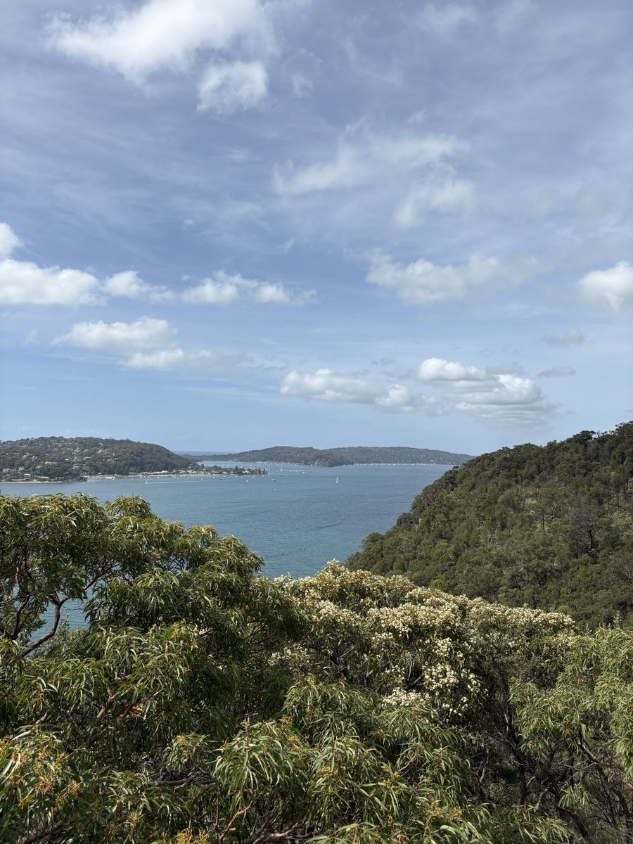 DefiantBA's tweet image. Enjoying the last couple of weekends in Sydney. Hiking in Ku Ring Gai National Park.