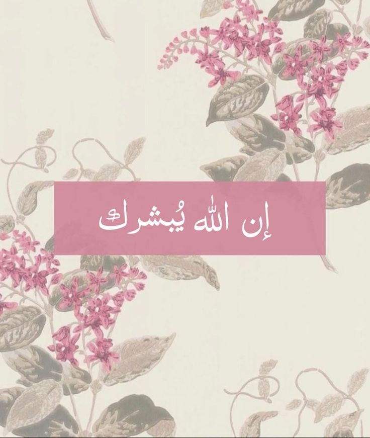 مُطمئِنةَ.! tweet media