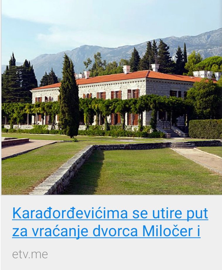 Jelena Marković tweet media