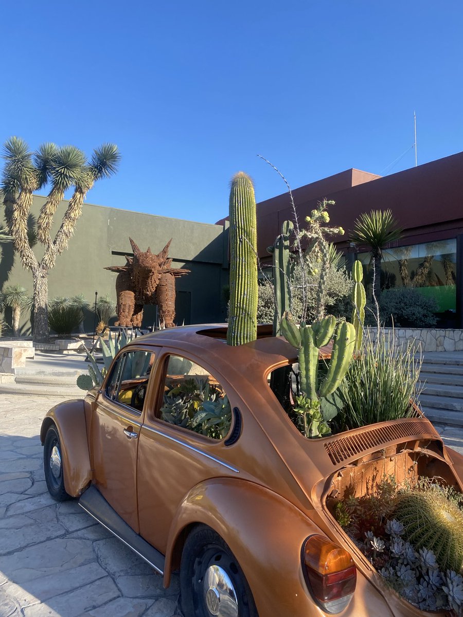 _insensiblee's tweet image. Tkm Saltillo