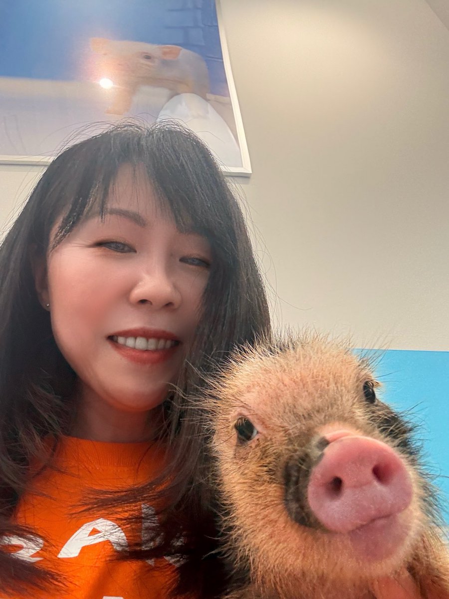 SHINOBUIWASA's tweet image. 堀江さんのように
『私の血となり肉となるんだな😍』
とは思わなかったですが、可愛かったです✨😆😆😆

#REALVALUE 
@realvalue_co_ch
@takapon_jp 

マイクロブタちゃん