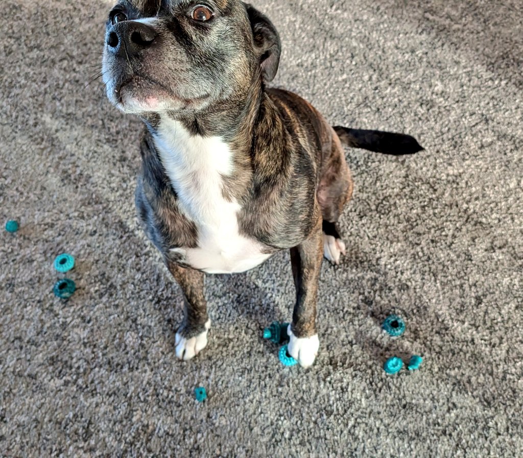 DaveOshry's tweet image. 