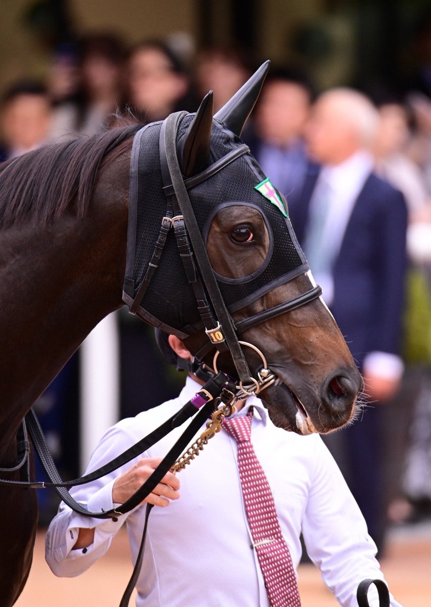 く*ろ様 競走馬　スペシャルウィーク　無口 く*ろ様 競走馬 スペシャルウィーク 無口 スペシャルウィーク