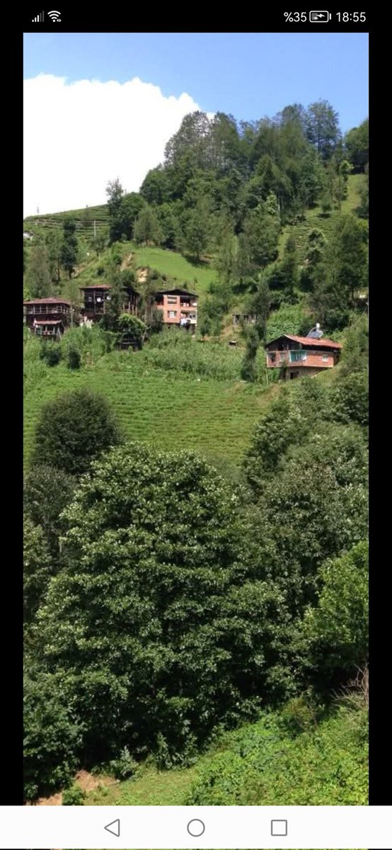 Neşelli 😁Mutlu pazarlar....