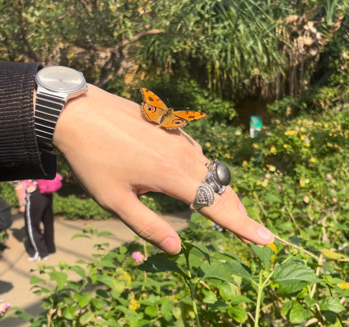 K19Ez's tweet photo. 🦋🪲 https://t.co/hI9mTV6pgB