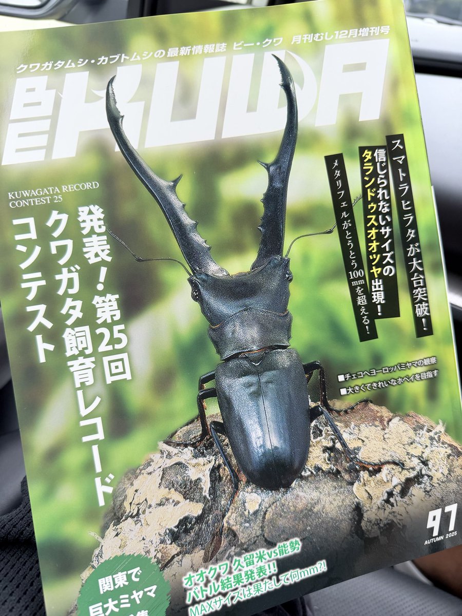 ガマゲロゲ PSA10 カンダシンジ ガマゲロゲ PSA10 カンダシンジ