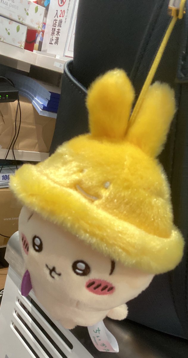 mimi___usagis2's tweet photo. この子かわいいいい https://t.co/vX7K5lTOsH