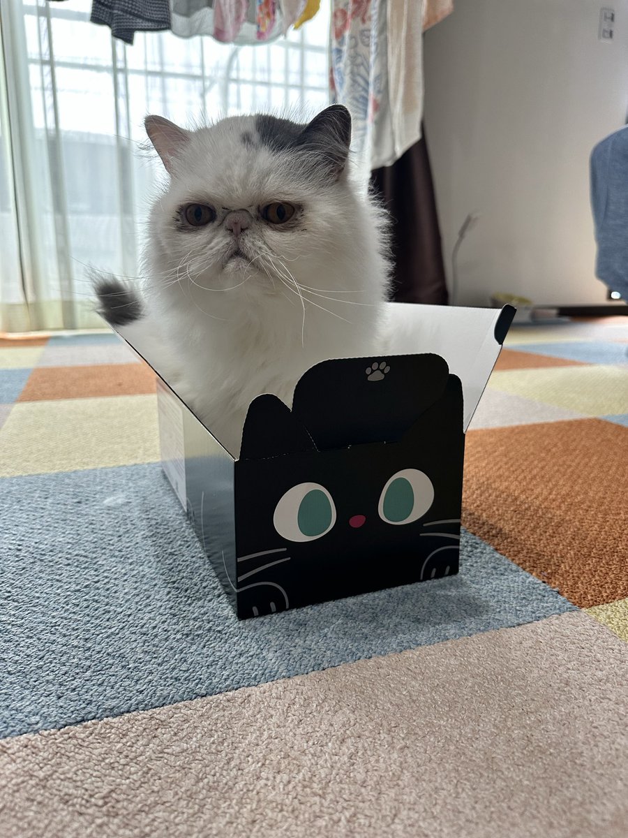 ぜんきんちゃん (@zenkinchan) / Posts / X