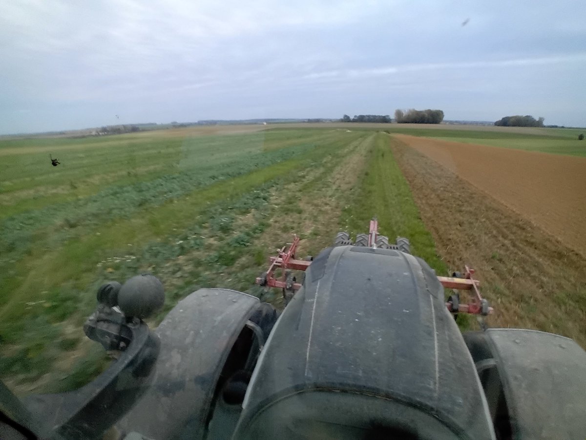 GuyotVincent02's tweet photo. Et voilà dans quoi je sème mes féveroles d'hiver. Je n'ai pas touché à la parcelle depuis la récolte du blé à la mi juillet. J'ai juste rebroyé les chaumes pour que ça passe dans le semoir T-drill #Guilbart. https://t.co/htjpRRFQ6l