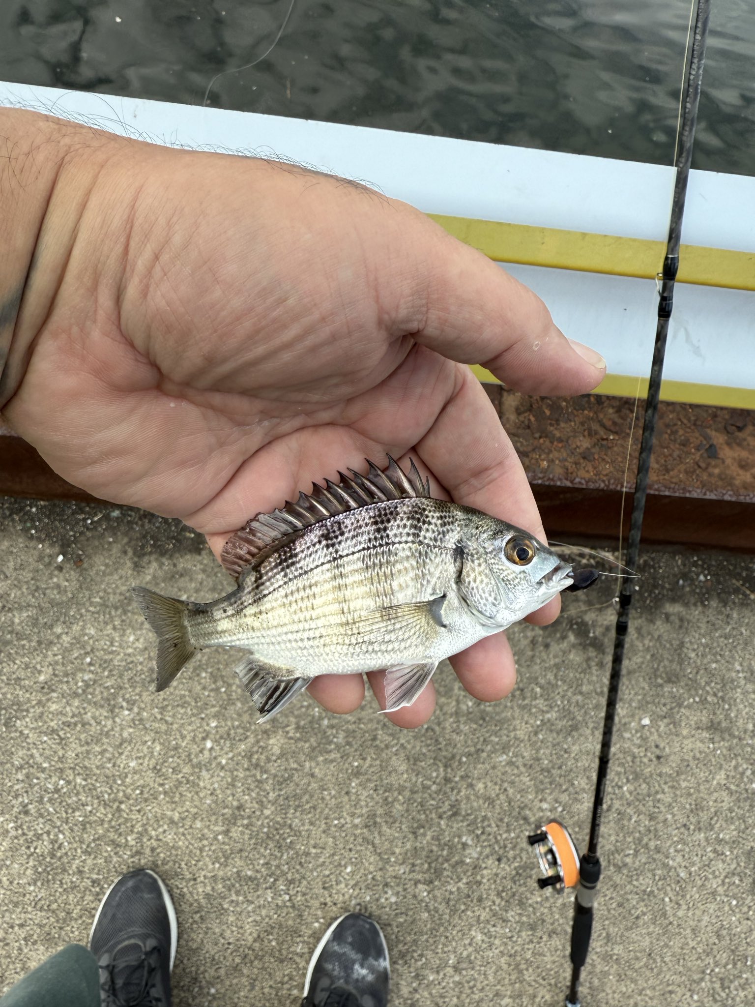 釣り好き。 CHIZURU(ちづる) (@chizuru_1030) • Instagram photos and videos