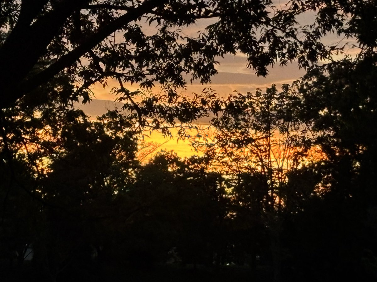 本日10/19(日)は意識の置き方を練習。歩く様に蹴り、受ける。次回クラスは11/2(日)荒川河川敷の予定。写真2枚目は前日の臨時クラスでの夜景。参加された皆さんお疲れ様でした。
#足立区 #ロシア武術システマ #護身術 #アウェアネス #健康法 #練習仲間募集中 #見学体験無料