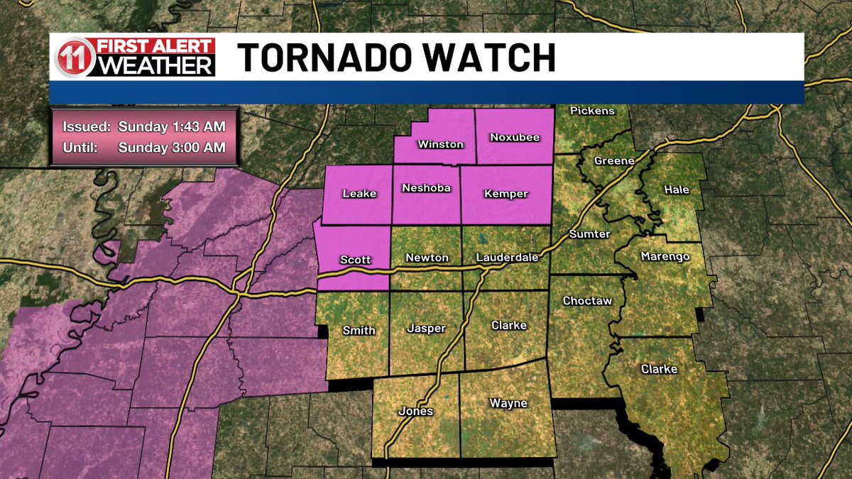 Deitra McKenzie tweet media