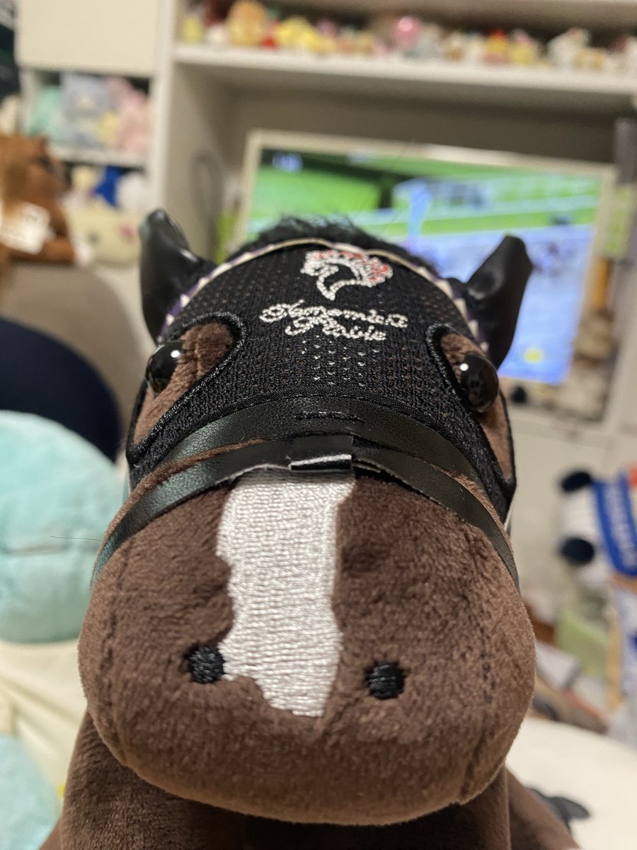 アイドルホース - Search / X