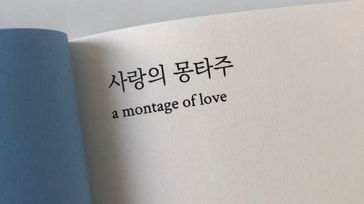 𝕚 𝐥ikǝ ✺ ࿔ : 𝕣ock ⋆ 黑 𝖟o͞m𝚋𝕚ǝ. tweet media