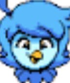 TheCodingPro11's tweet image. GN nesties