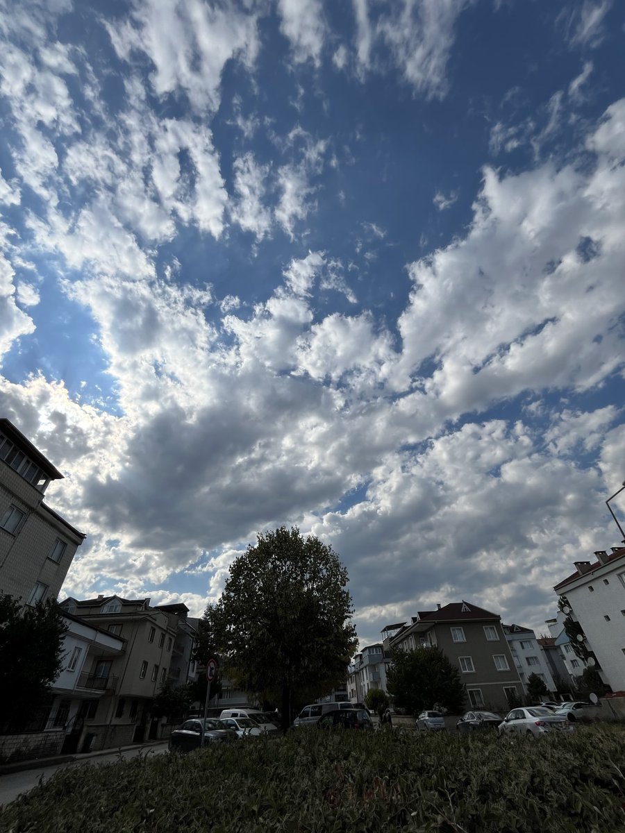 🌤️🌤️🌤️