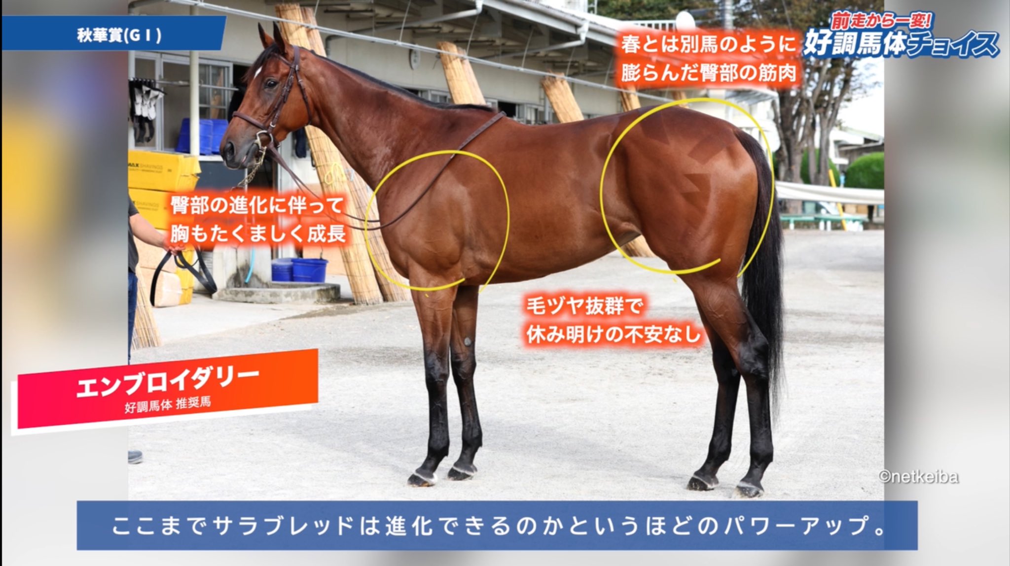 坂*井様 レア品 Japan Cup 2010 JRA 30周年記念ブルゾン 競 坂*井様 レア品 Japan Cup 2010 JRA 30周年記念ブルゾン 競