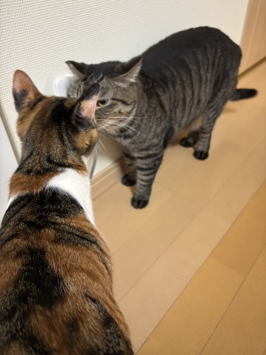 秋華賞でひっさしぶりにお馬さん勝てました
しかし今年の負債はまだまだデカい
こっからたくさん当てていきたいなー