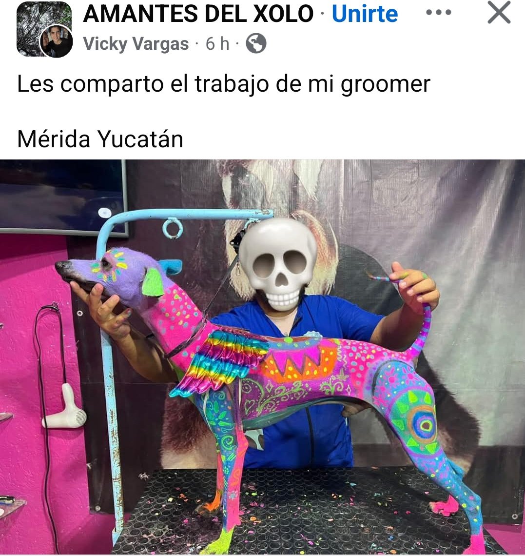 Maltrato con disfraz festivo

Ninguna pintura corporal diseñada para humanos está pensada para animales.

Al lamerse, los animales ingieren los pigmentos, lo que puede provocar vómitos, diarrea u obstrucciones intestinales. 

En algunos casos, incluso intoxicaciones graves por