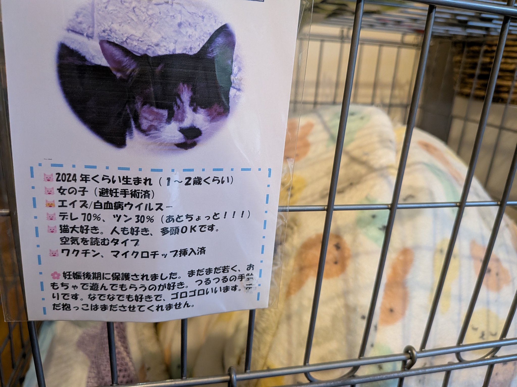 izumi nishimura on X: 