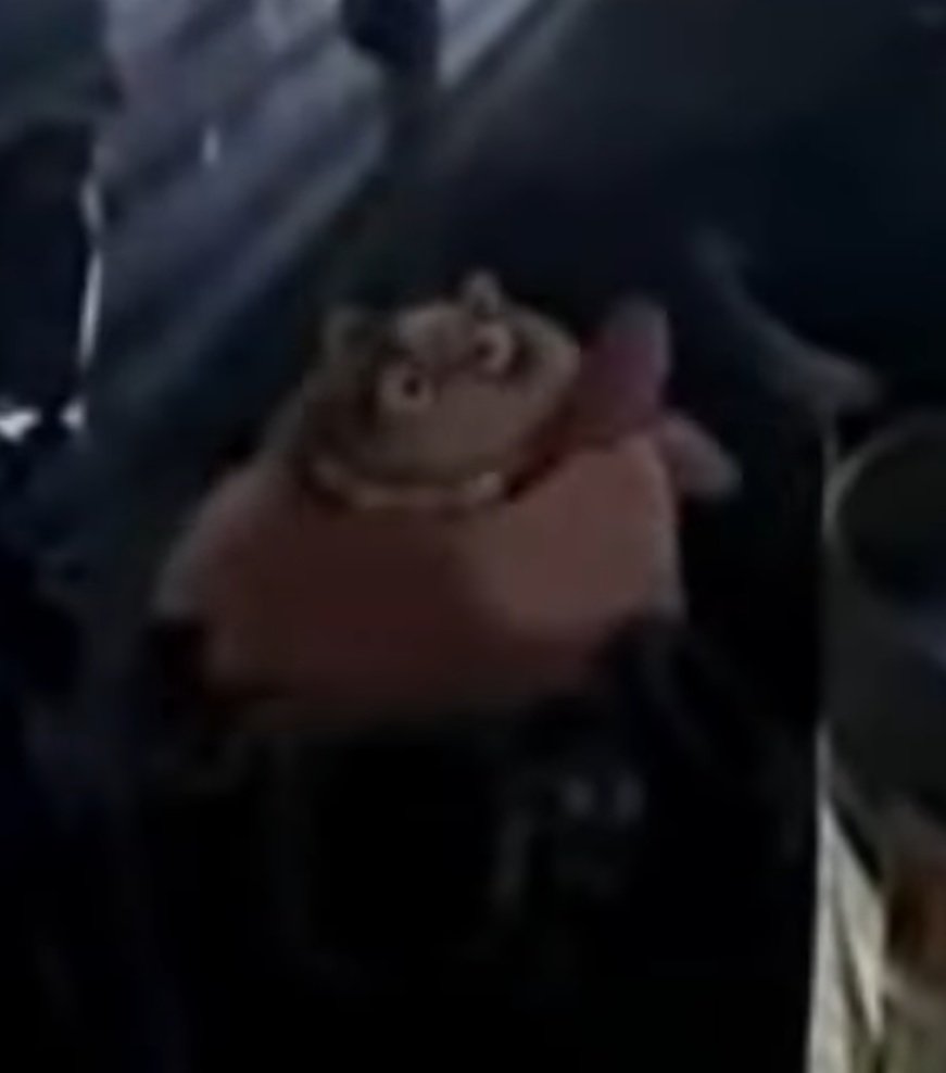 アメリカ版 星のカービィ2のCMだけどカービィが2017Xすぎる