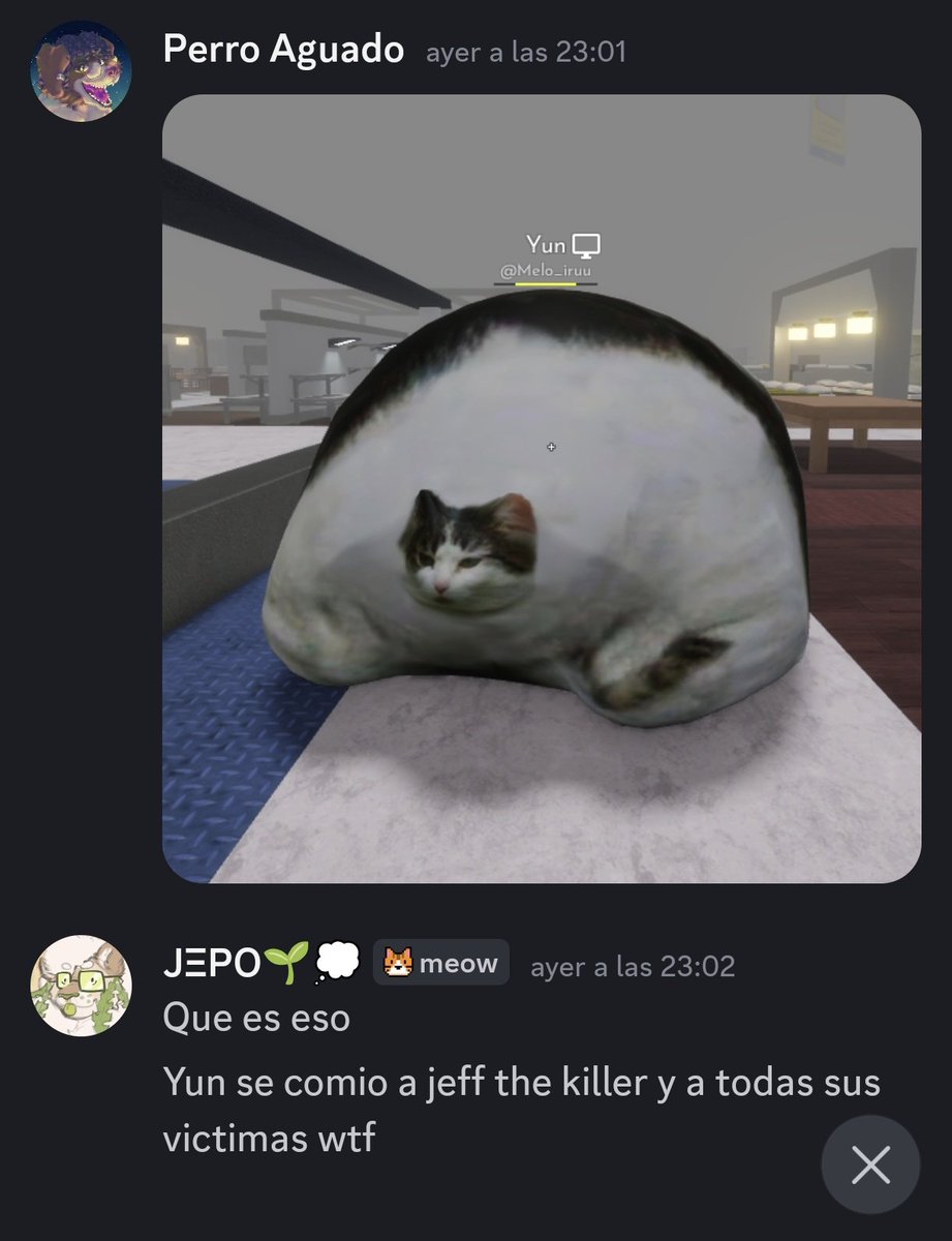 ᴋᴀɴ🥩| 𝗢𝗣𝗘𝗡 𝗖𝗢𝗠𝗠𝗦 tweet media