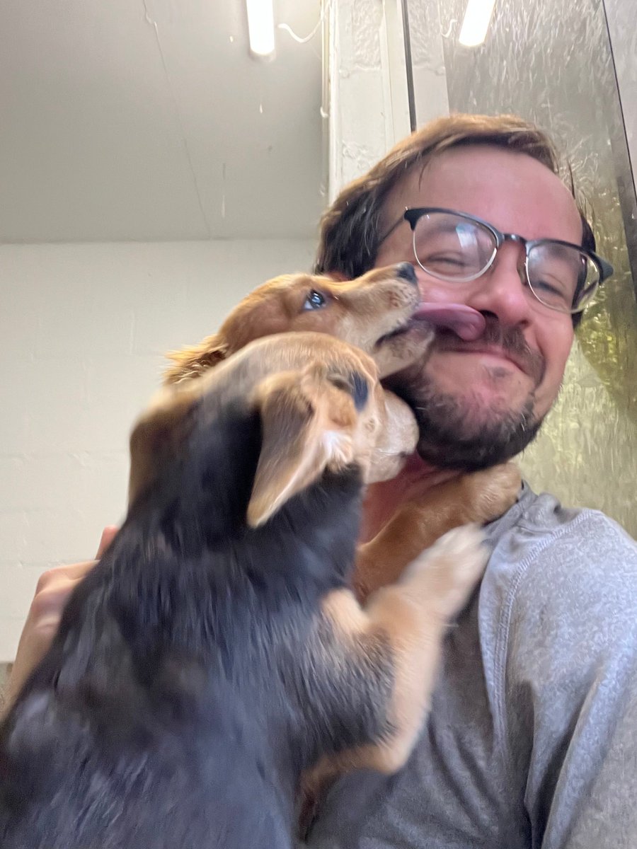 Pavel Mavrin tweet media