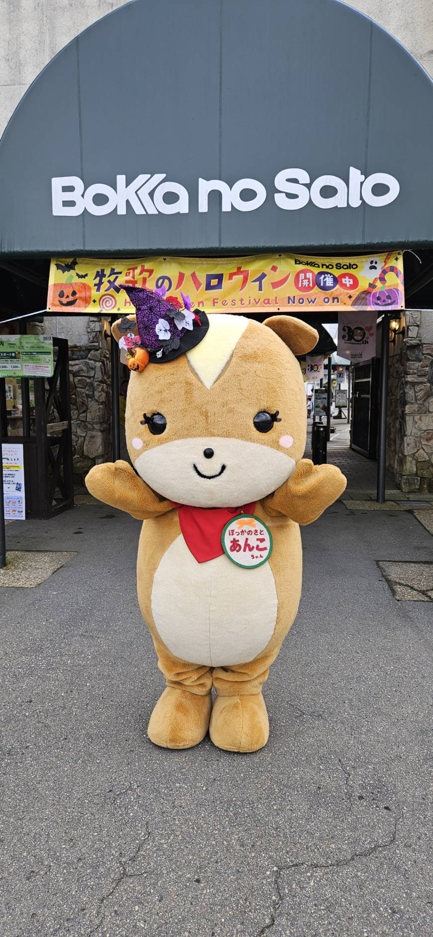 ひるがの高原 牧歌の里【公式】 on X: 