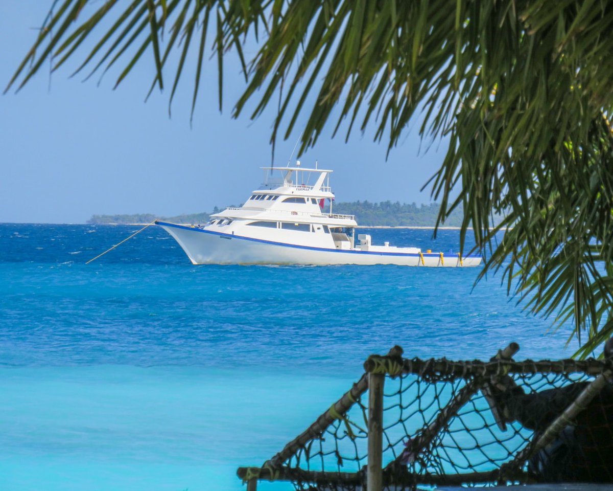 ހުޅަނގު މޫސުމުގެ ނަކަތް ތަކުގެ ތެރޭގައި ހިމެނޭ ހެއި ނަކަތުން މިއަދަކީ 2 ވަނަދުވަހެވެ.
ހއ އަތޮޅަށް މިއަދަކީ އާދައިގެ ވަރަަކަށް މޫސުން ރީތިކޮށް އޮތް ދުވަހެކެވެ.

📸masveri ihavandhoo